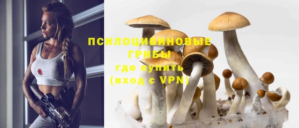 ГАЛЛЮЦИНОГЕННЫЕ ГРИБЫ Верхний Тагил