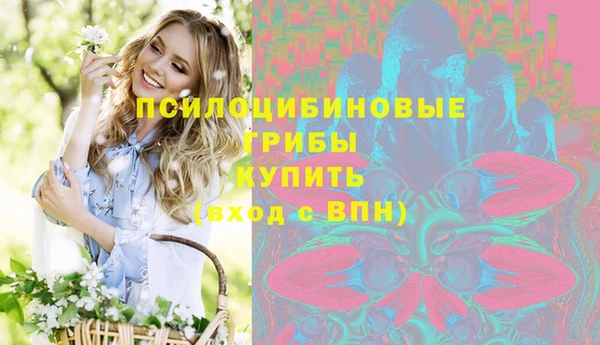 ГАЛЛЮЦИНОГЕННЫЕ ГРИБЫ Верхний Тагил