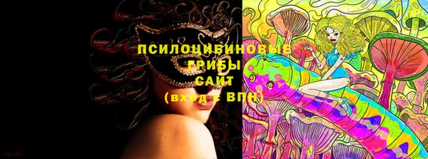 ГАЛЛЮЦИНОГЕННЫЕ ГРИБЫ Верхний Тагил