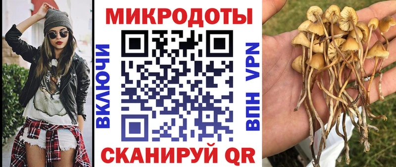 Псилоцибиновые грибы Magic Shrooms Сосногорск