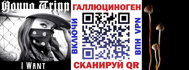 блэк спрут сайт  Сосногорск  Галлюциногенные грибы прущие грибы 